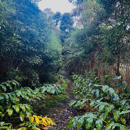 Casa de Férias Casa Do Postigo Rustic Refuge To Relax