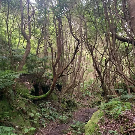Casa de Férias Casa Do Postigo Rustic Refuge To Relax Angra do Heroísmo