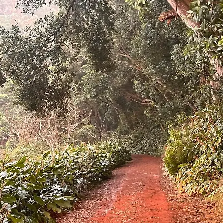 Casa Do Postigo Rustic Refuge To Relax Prázdninový dům *
