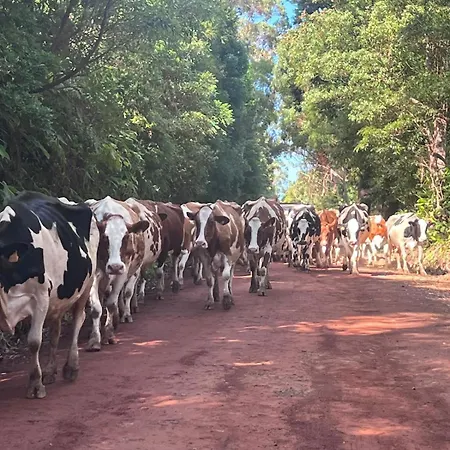 Casa Do Postigo Rustic Refuge To Relax