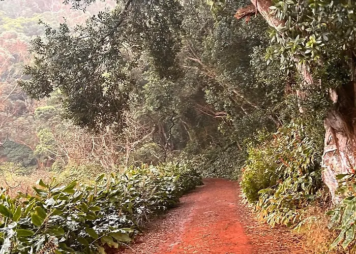 Casa Do Postigo Rustic Refuge To Relax Holiday home *