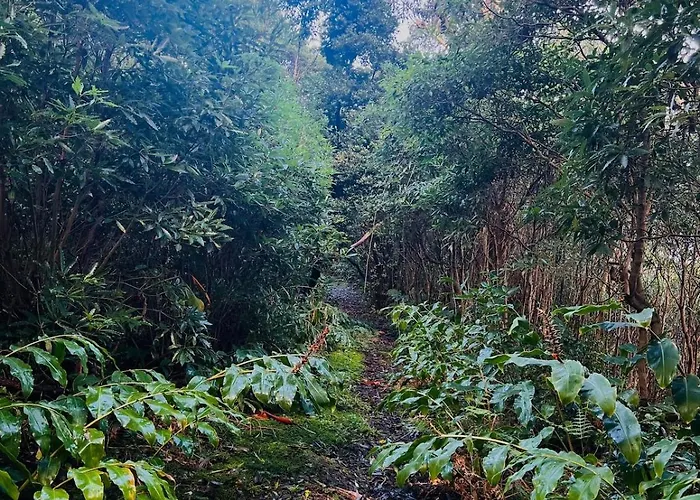 Holiday home Casa Do Postigo Rustic Refuge To Relax