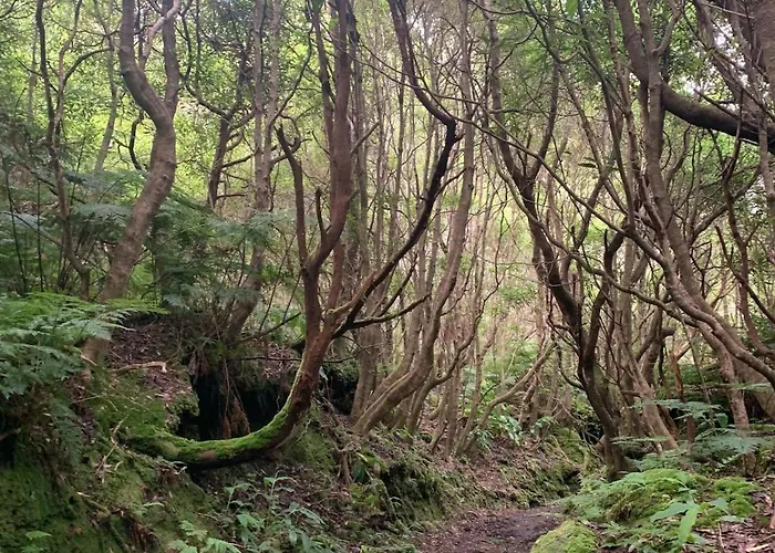 Holiday home Casa Do Postigo Rustic Refuge To Relax Angra do Heroismo